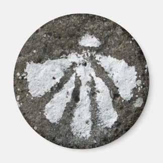 Aimant de coquille de paille