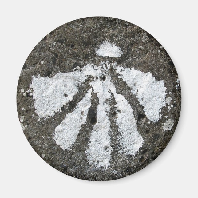 Aimant de coquille de paille (Devant)