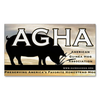 Aimant de couleur d'AGHA