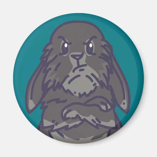 Aimant de crabbit (Devant)