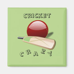 Aimant de cricket