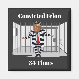 Aimant de criminel condamné Trump