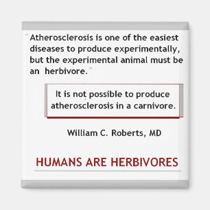 Aimant de crise cardiaque