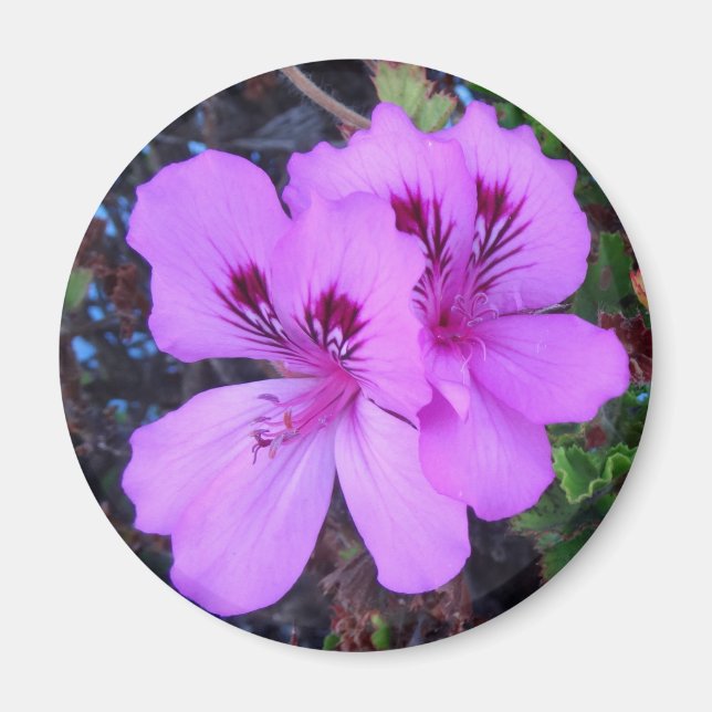 Aimant de cuisine aux fleurs violettes (Devant)