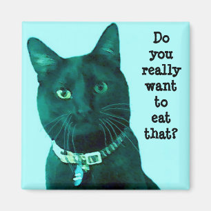 Aimant de culpabilité