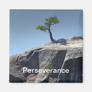 Aimant de ~ de persévérance