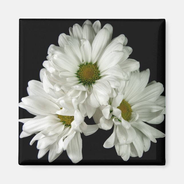 Aimant de délice triple (Devant)