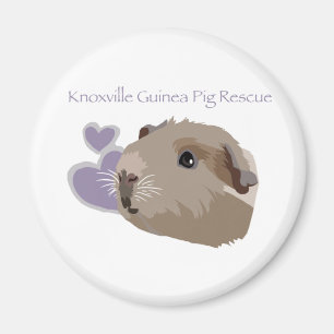 Aimant de délivrance de cobaye de Knoxville