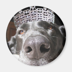 Aimant de Diva