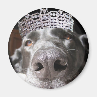 Aimant de Diva
