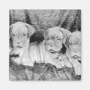 Aimant de Dogue de bordeaux