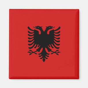 Aimant de drapeau de l'Albanie