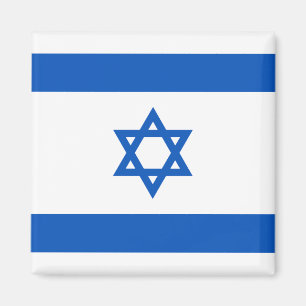 Aimant de drapeau de l'Israël