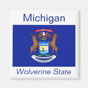 Aimant de drapeau du Michigan