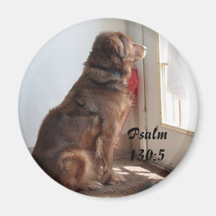 Aimant de fenêtre de chien de 130:5 de psaume