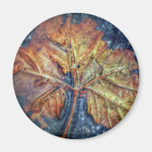 Aimant de feuille d'automne