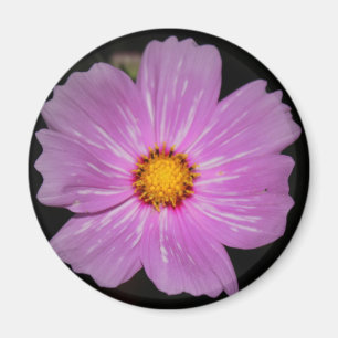 Aimant de fleur