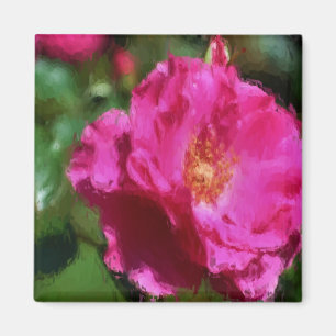 Aimant de fleur de dessin de craie de rose de rose