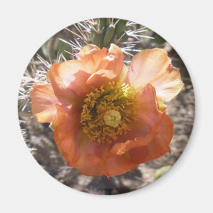 Aimant de fleur de pêche de Cholla