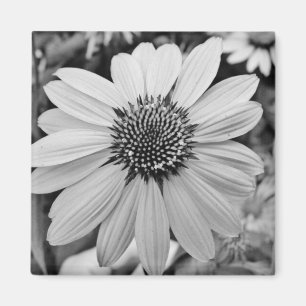 Aimant de fleur noire et blanche