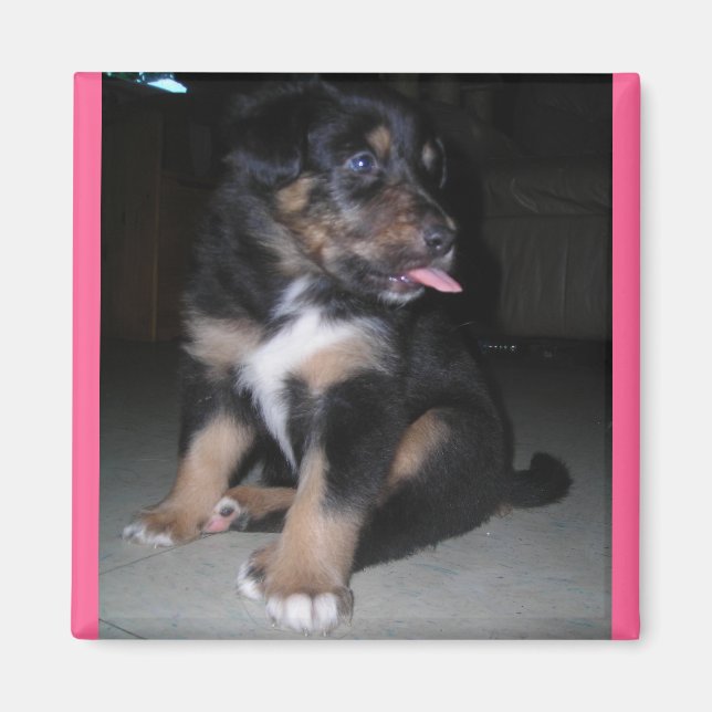 Aimant de framboise (Devant)