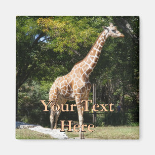 Aimant de girafe