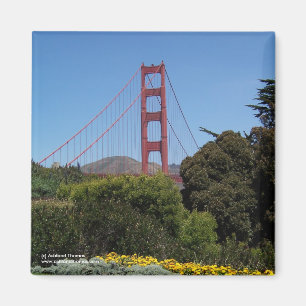 Aimant de golden gate bridge