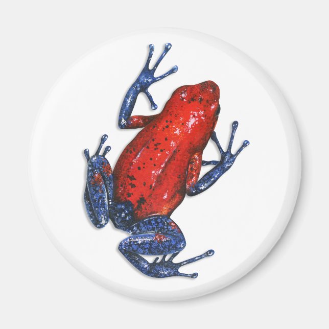 Aimant de grenouille à tarte poison (Devant)