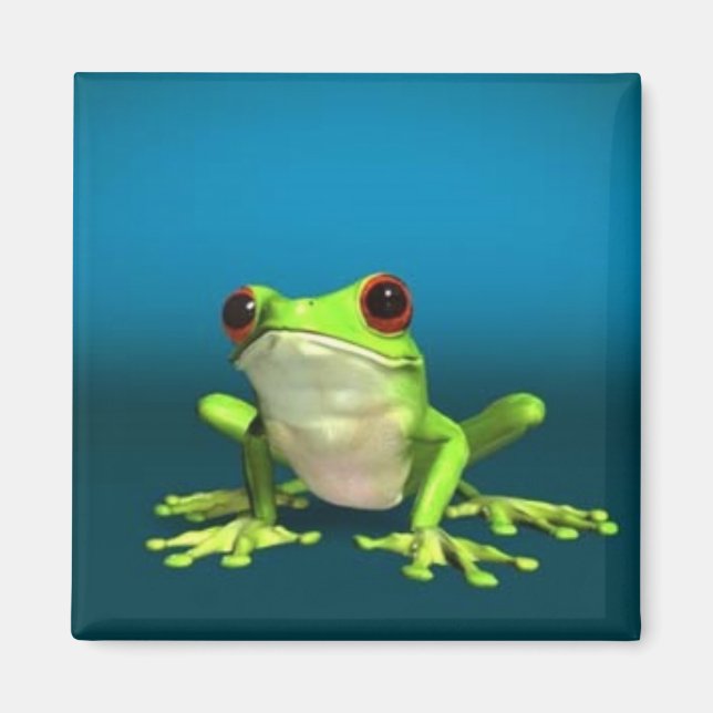 aimant de grenouilles d'arbre (Devant)