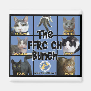 Aimant de groupe de FFRC ch