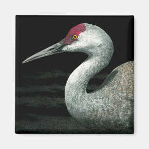 Aimant de grue de Sandhill - "grâce de prairie "
