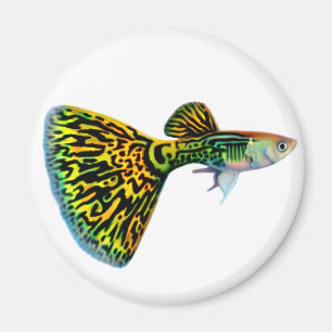 Aimant de guppy de peau de serpent de cobra