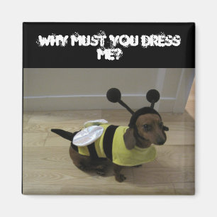 Aimant de Halloween de chien de Weiner