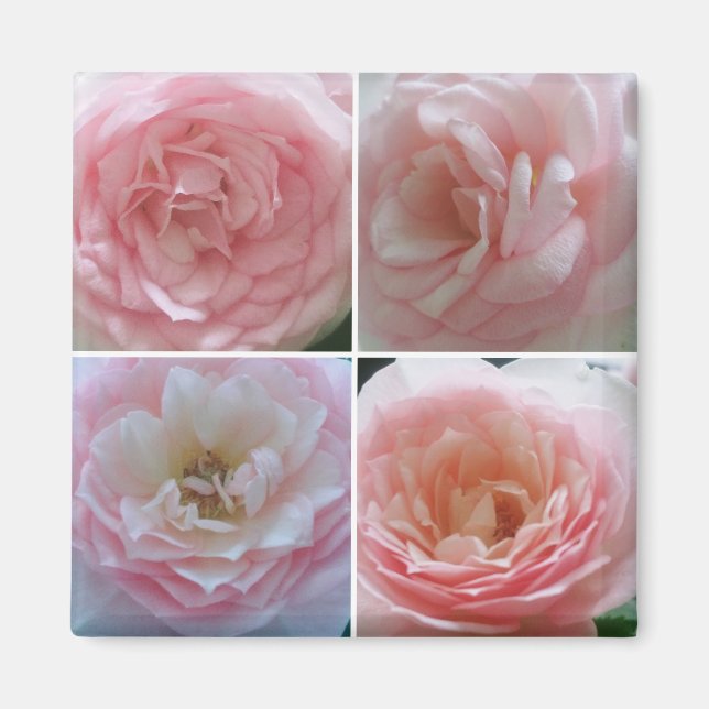 Aimant De jolies roses (Devant)