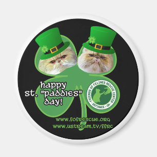 aimant de jour de paddys de St - conception 1