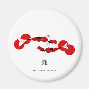 Aimant de KOI