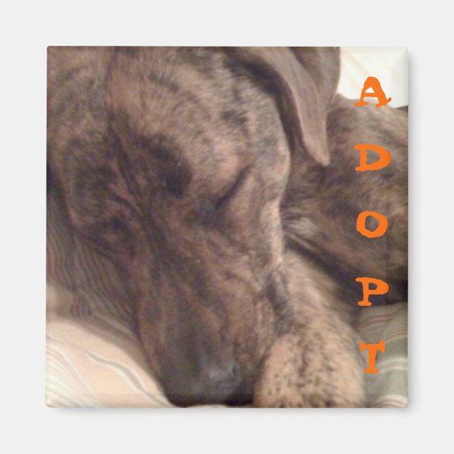 Aimant de la boucle (Devant)