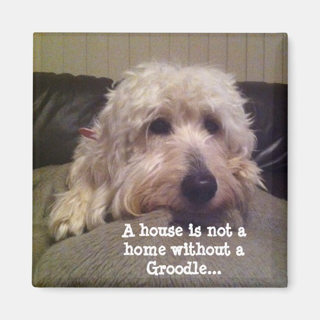 Aimant de la graine (Devant)