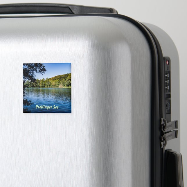 Aimant de la mer de Fribourg (In Situ (Bagages))