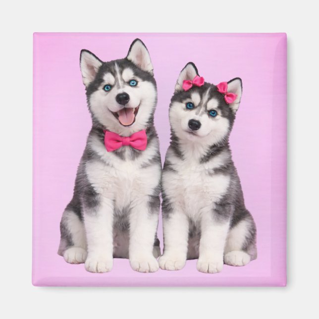 Aimant de la Saint-Valentin Amour de chiot Husky (Devant)