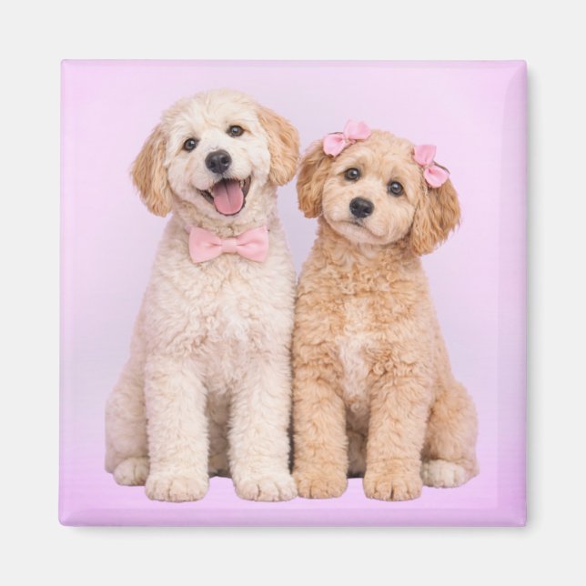 Aimant de la Saint-Valentin pour chiot Goldendoodl (Devant)