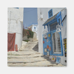 Aimant de la Tunisie