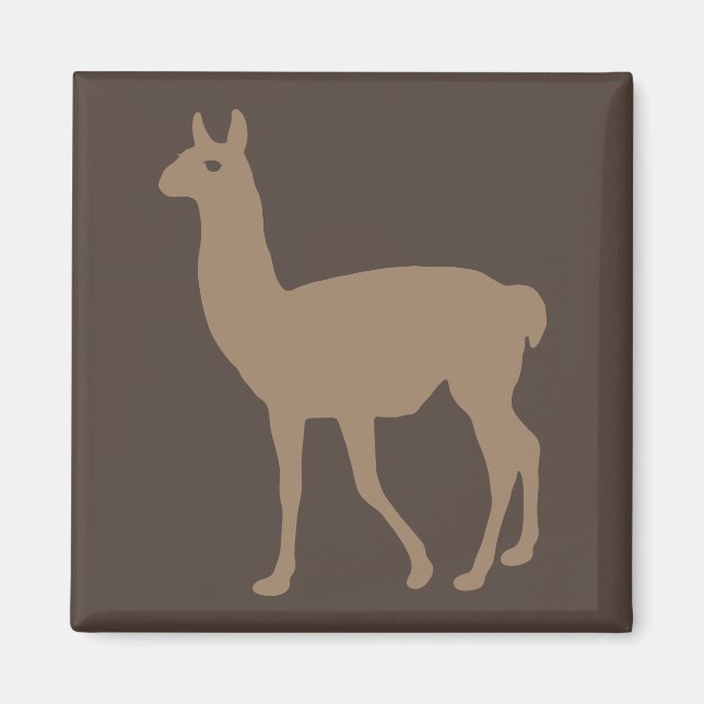 Aimant de lama (Devant)