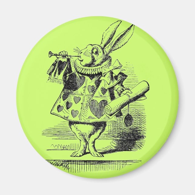 Aimant de lapin (Devant)