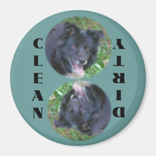 Aimant de lave-vaisselle de border collie