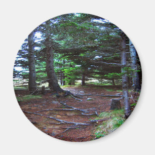 Aimant de l'escalier de la nature