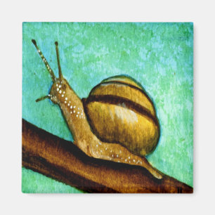 Aimant de l'escargot 1