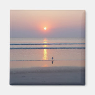 Aimant de lever de soleil d'océan de Daytona Beac