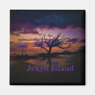 Aimant de l'île Jekyll