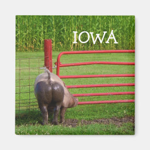 Aimant de l'Iowa